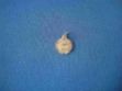 Picture of #G210 Micro Chai Medallion