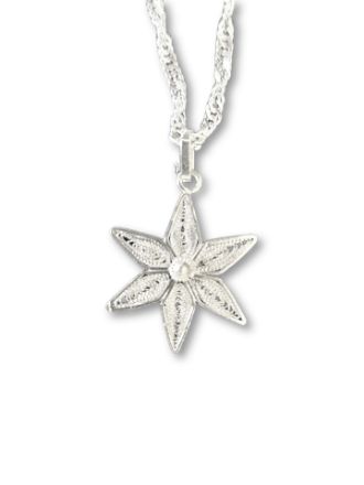 Picture of S783 Filigree Star with chain 