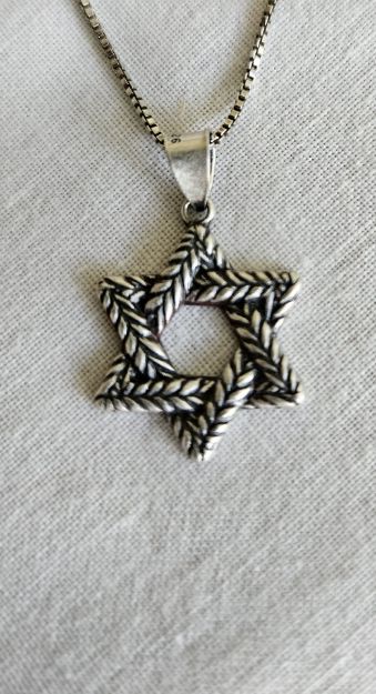 Picture of S789OXY   Laurel Leaf Star Sterling Silver oxidized with 18" chain  